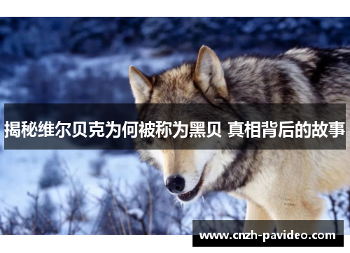 揭秘维尔贝克为何被称为黑贝 真相背后的故事 揭秘维尔贝克为何被称为黑贝 真相背后的故事